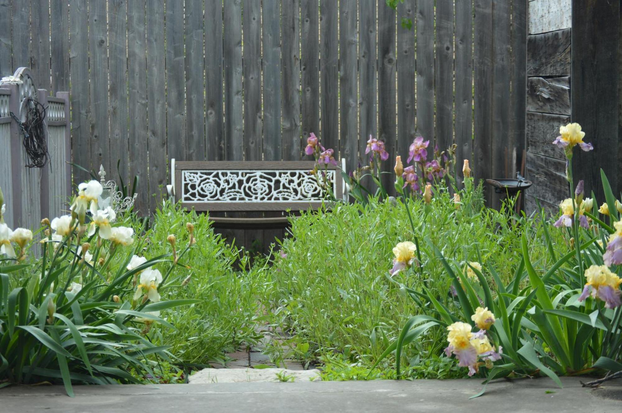 Carleton House Bed And Breakfast Bonham Esterno foto