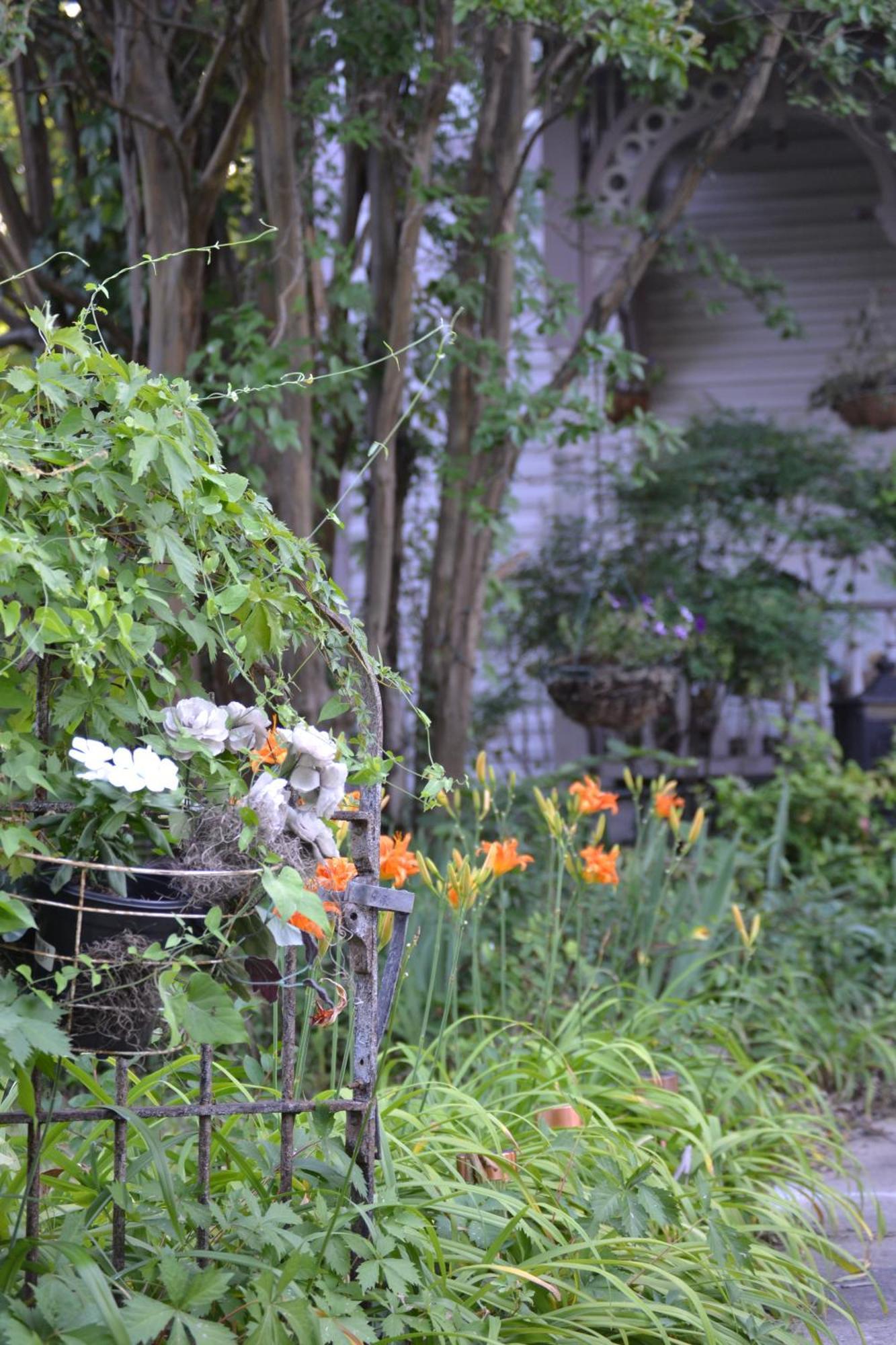 Carleton House Bed And Breakfast Bonham Esterno foto